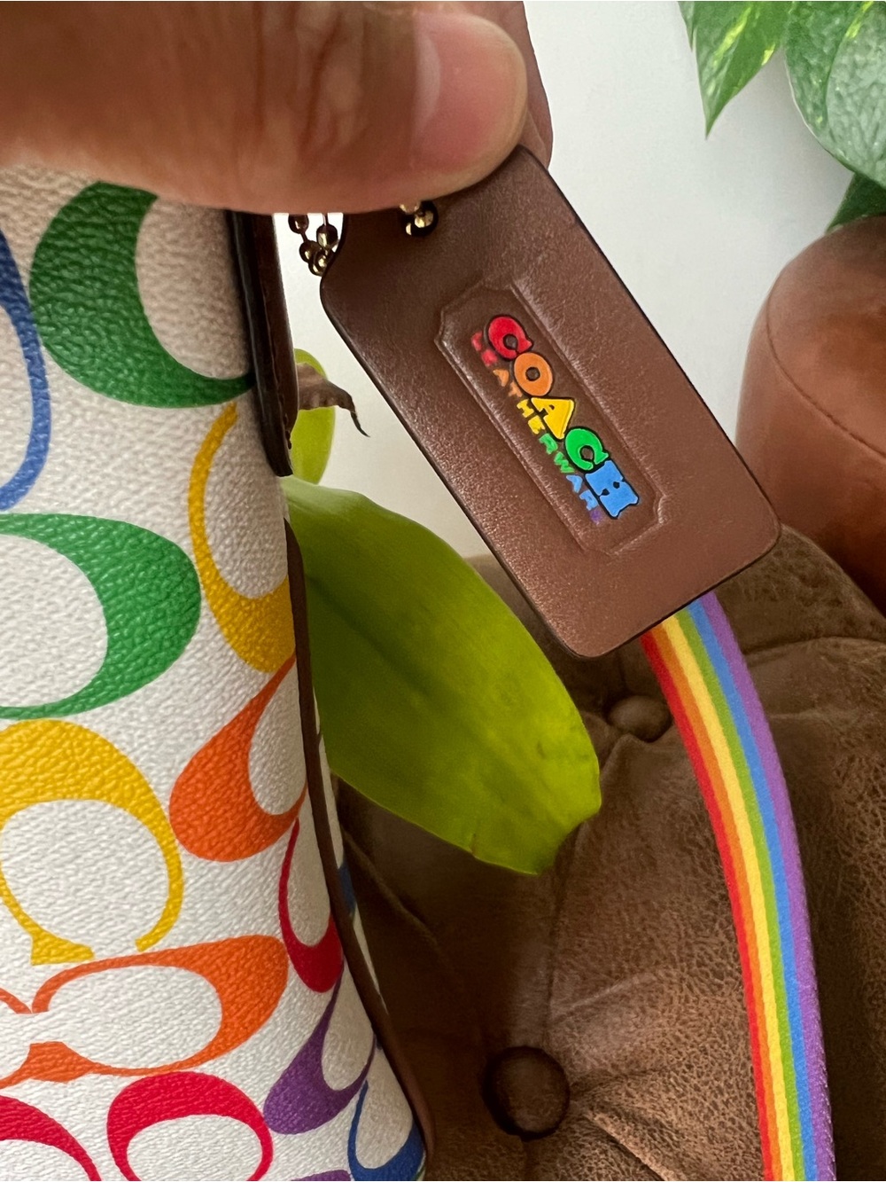 Coach Jes Slim Rainbow Crossbody Bag NWOT - Picture 2 of 11